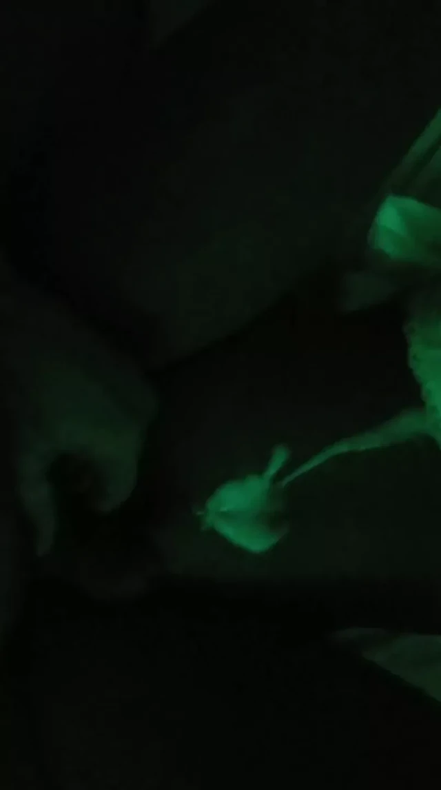 Bare Back Bang the Doll & Cum On Her Stomach