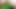 Hotkinkyjo take tons of green leaves in her ass, anal fisting & prolapse too (trailer)