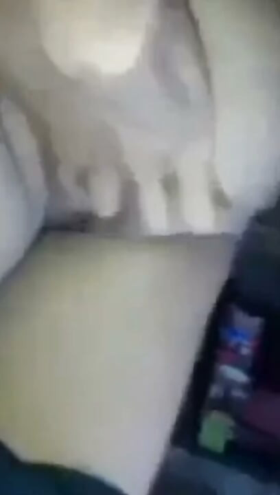 الابن الربيب ينيك كس زوجة أبيه.