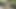 公開