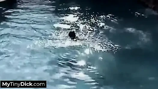 Cewek sange rambut cokelat ini lagi asik nyepong kontol kecilnya di pinggir kolam renang