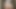 Cum Tribute to Tit Sucking Lesbians