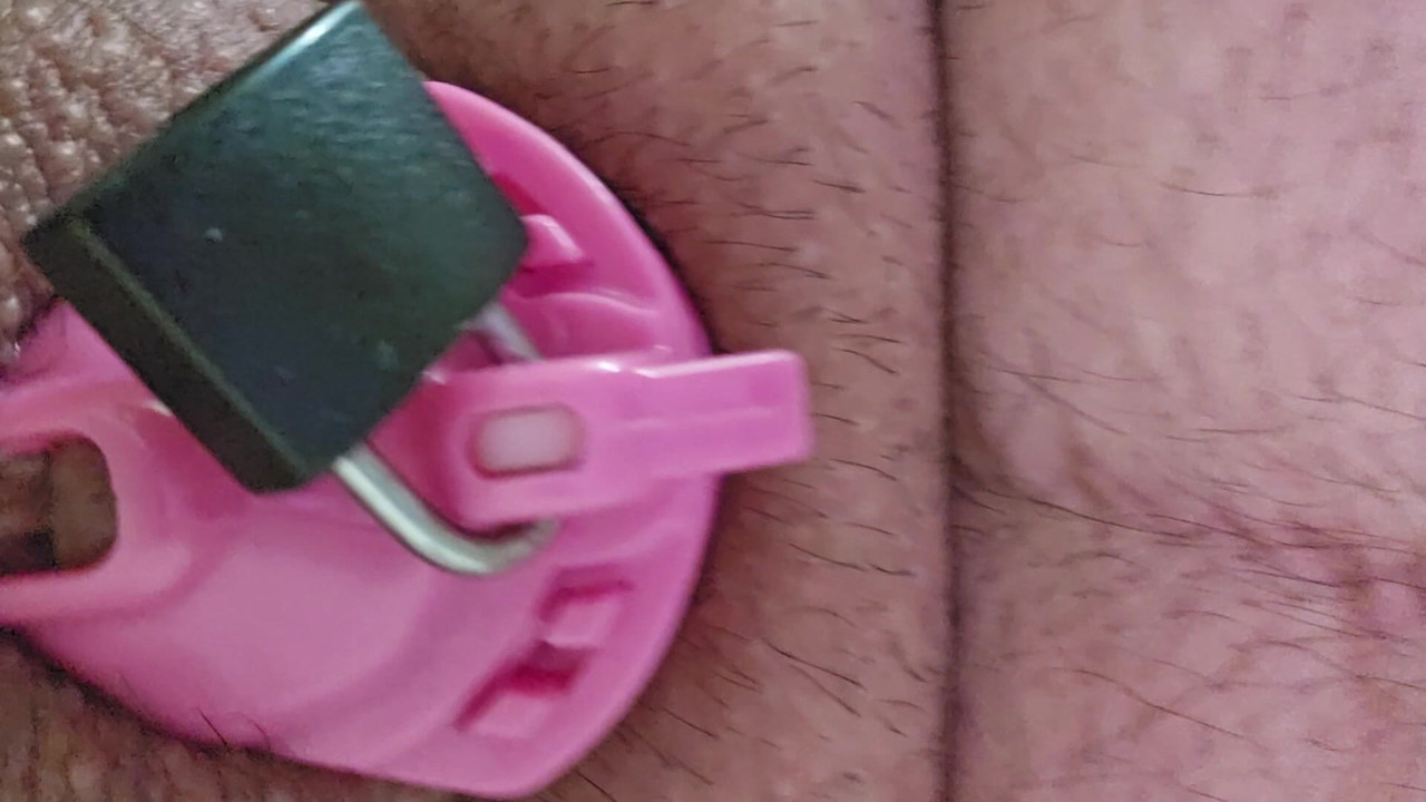 Chastity sissy fucks 19 inch dildo