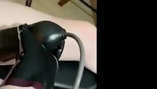 Gefesselt und gemolken