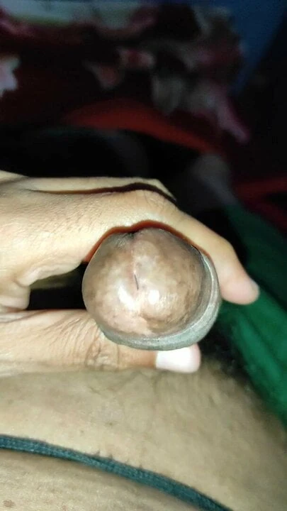 Pani