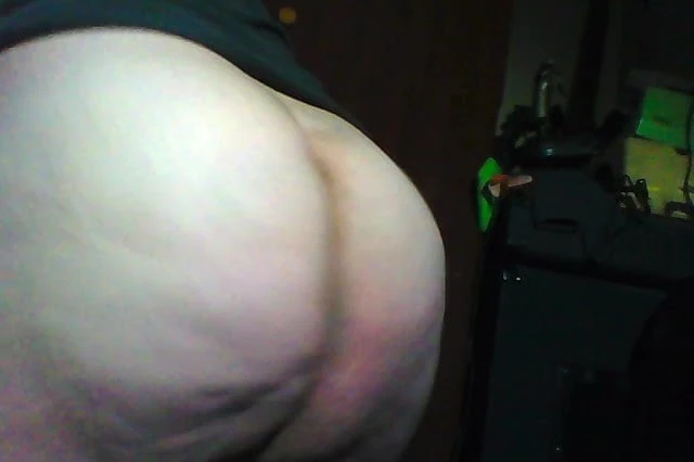 slave pig