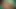 Bhabhi aunty desi suhagrat honeymoon outdoor recording Indians Village dehati sex chodai hard romance devar bhabhi pati patni