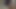 リリ