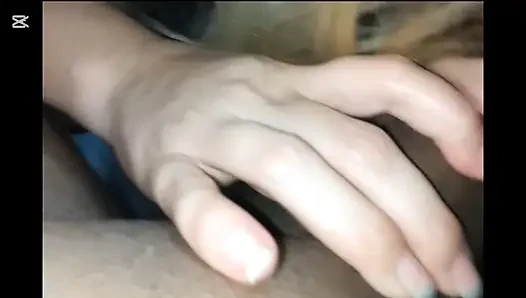 Коллекция
