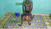 Pregled videozapisa