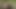 Dağ nehrinin kıyısında halka açık bir yerde sikişiyor