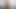 シャワーで遊んでいる