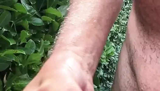 Jerk of in the garden