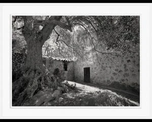 Black--Widow Slideshow-Black -and- white
