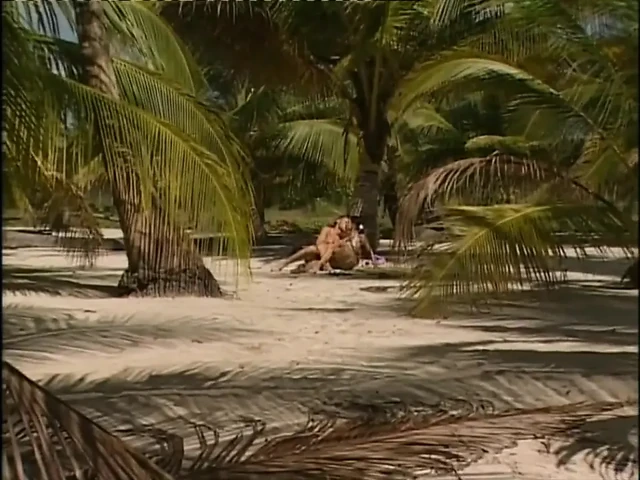 Love on the beach...pussy licking pussy fucking, orgasm in mouth