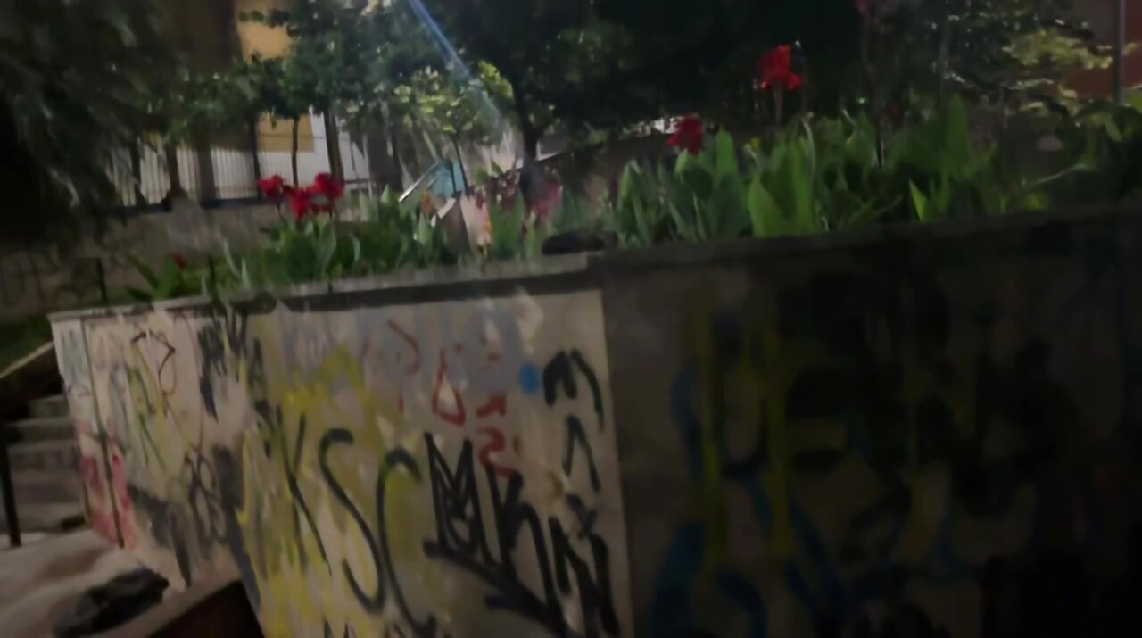 Sex pe unul dintre cele mai aglomerate bulevarde din Sao Paulo
