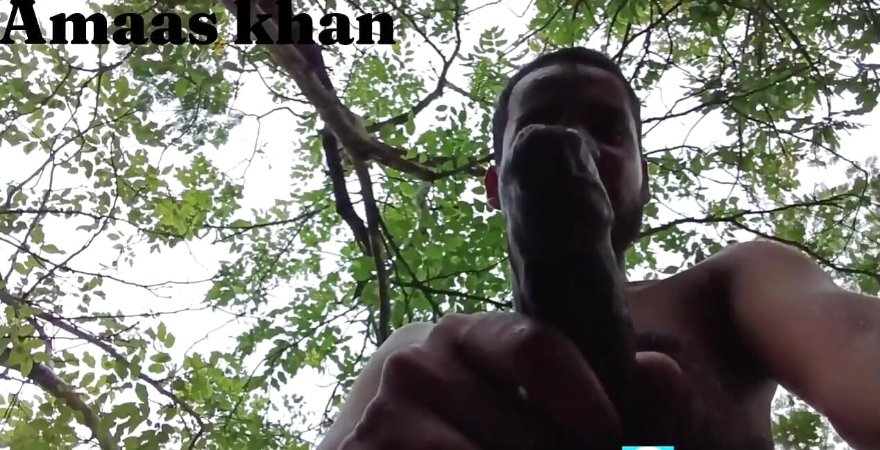 Jungle my Mangal part 1