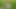 BRIDE4K. Her fiance was so boring so she decided to run away and suck a stranger’s cock in the field