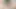 Kahraman akademim hentai - köpüklü fışkırtarak mastürbasyon yapıyor