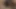 OMG! Little Asian Slut Fucking Big Dicks!!