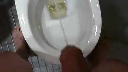 Pipi