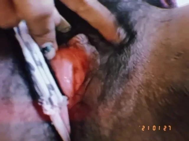 cum slut wife