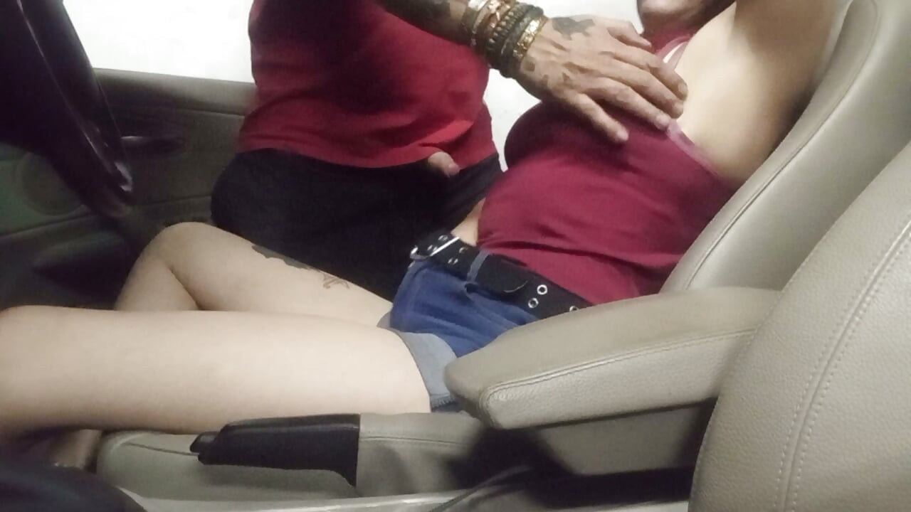 Pussy playing in the car