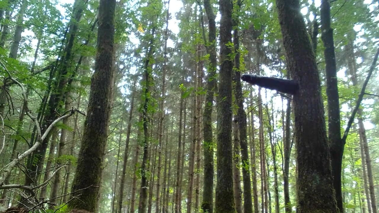 O ânus do cara do exército é rasgado e fodido profundamente por um enorme vibrador preto em uma árvore na floresta
