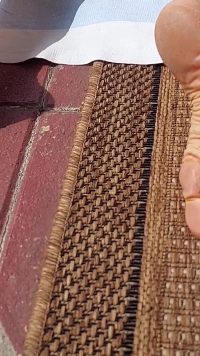 Selena's outdoor games
