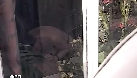 Xkiss hot sex - Sluis