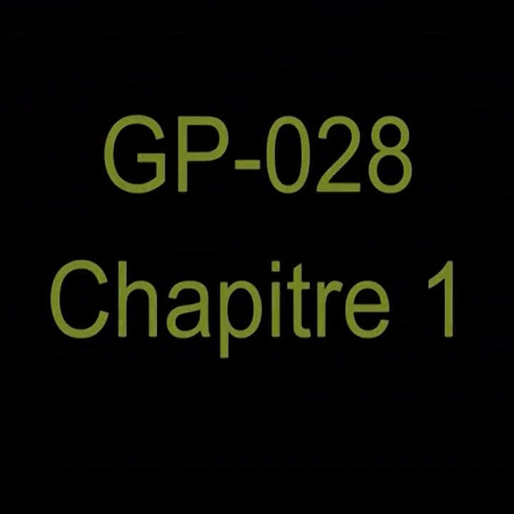 GP-029 — Глава 1