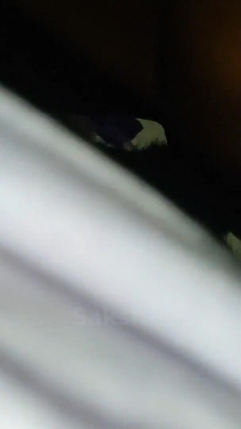 Boss Offer for you give her Promotion to Hard Fucked Nude dance Desi girl her | Clip 2