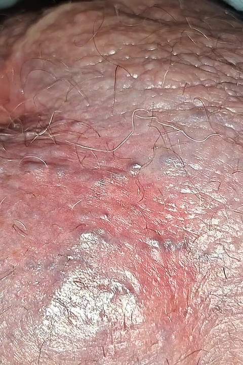 Big Bollocks and Monster Cock