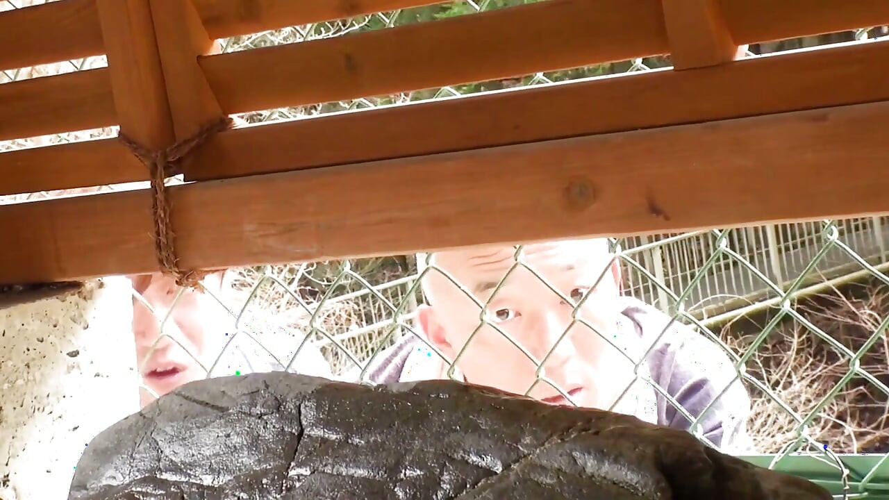 Sletterige schoonheid Aziatische scène-1 dun Japans meisje met kleine tieten neukt in een bdsm-trio