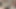 Double Penetration With Dildo - Loud BBW Orgasm