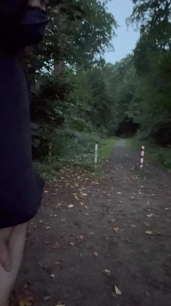 Rizično hodanje