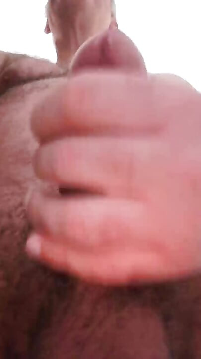 All My Sex on Display for You