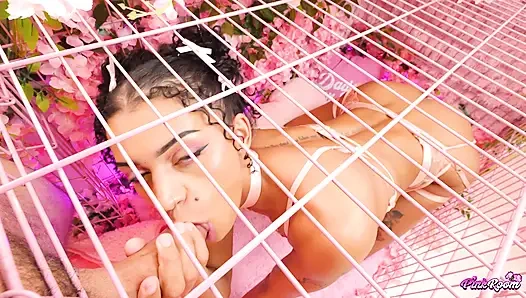 Pembe oda ep.31: uzun boylu, seksi sürtük Natasha Carter hepsini yapıyor