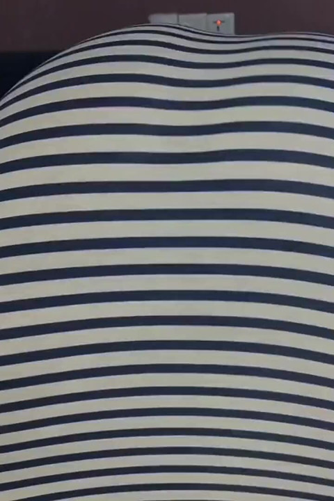 Sem sair, disse meu proprietário