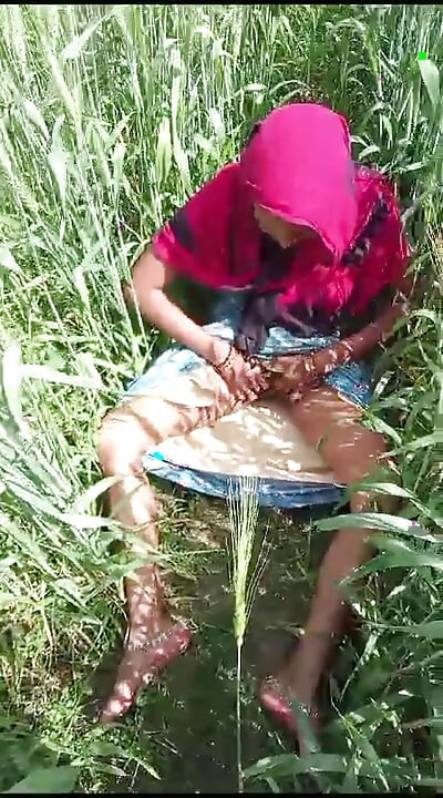 गांव की भाभी की चुदाई xxx वीडियो