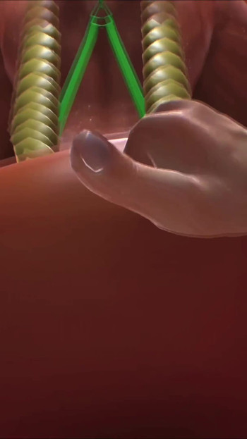 Pregled videozapisa