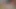 Teen POV Blowjob and Doggy Fuck Big Dick Closeup - Cumshot