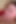 Asian Angel 21396