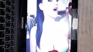 Katy Perry, hommage au sperme