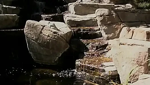 Belden bağlamalı seven lezbiyenler havuz başında eğleniyor