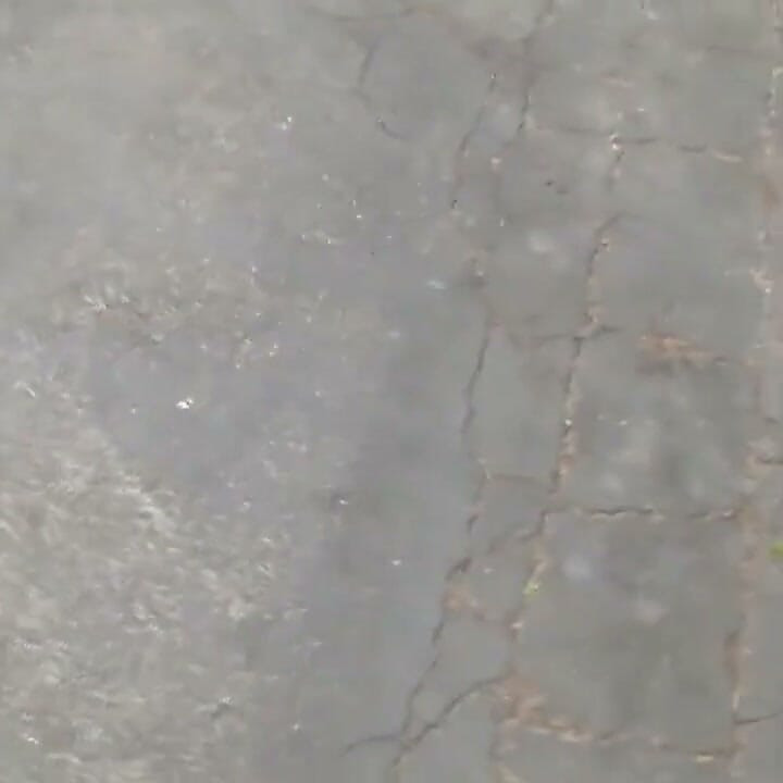 The big blowjob