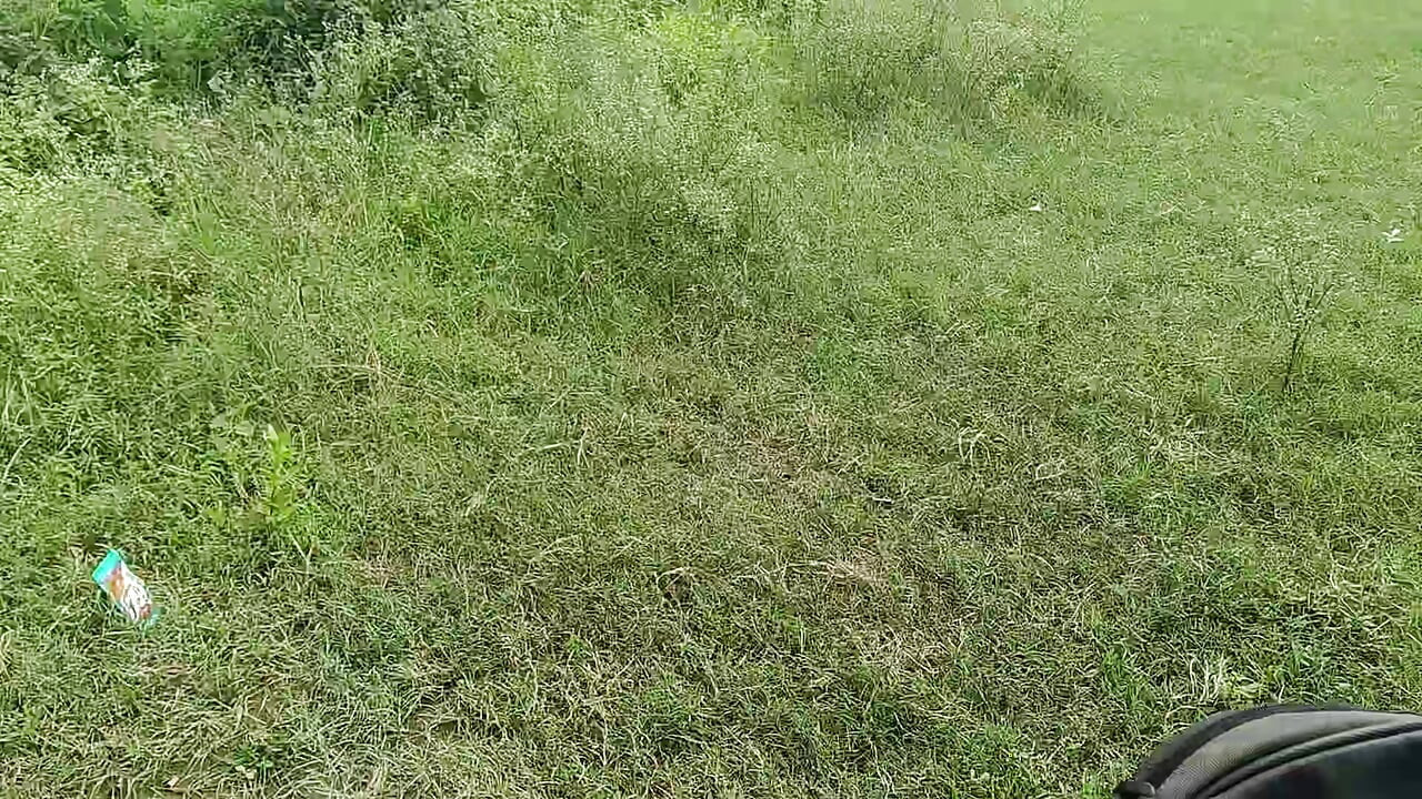 Masterb kontol besar hutan yang indah