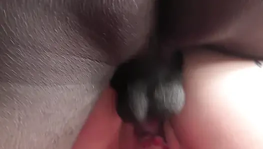 Desperate Amateurs горячие крошки Скарлетт Misty Lana и Kama Sutra получают их тугие киски жестко долбят большими жесткими членами