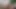 POV dirtytalking babe sucks BFs cock be4 closeup pussybanged