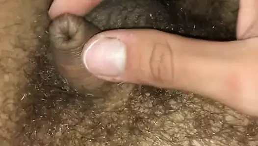 Hibernation içinde the dick